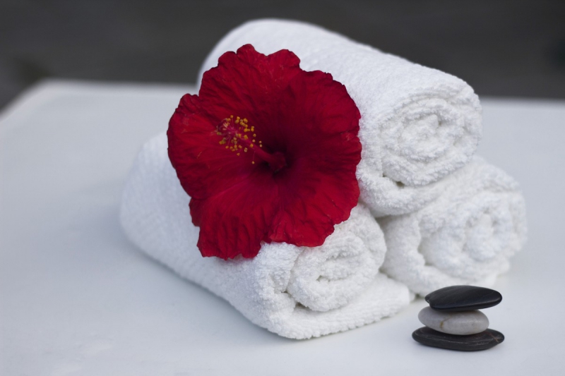 chambre-hote-FREJUS-min_towel_hibiscus_clean_care_salon_spa_white_bath-869834